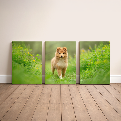 Canvas Triptyykki
