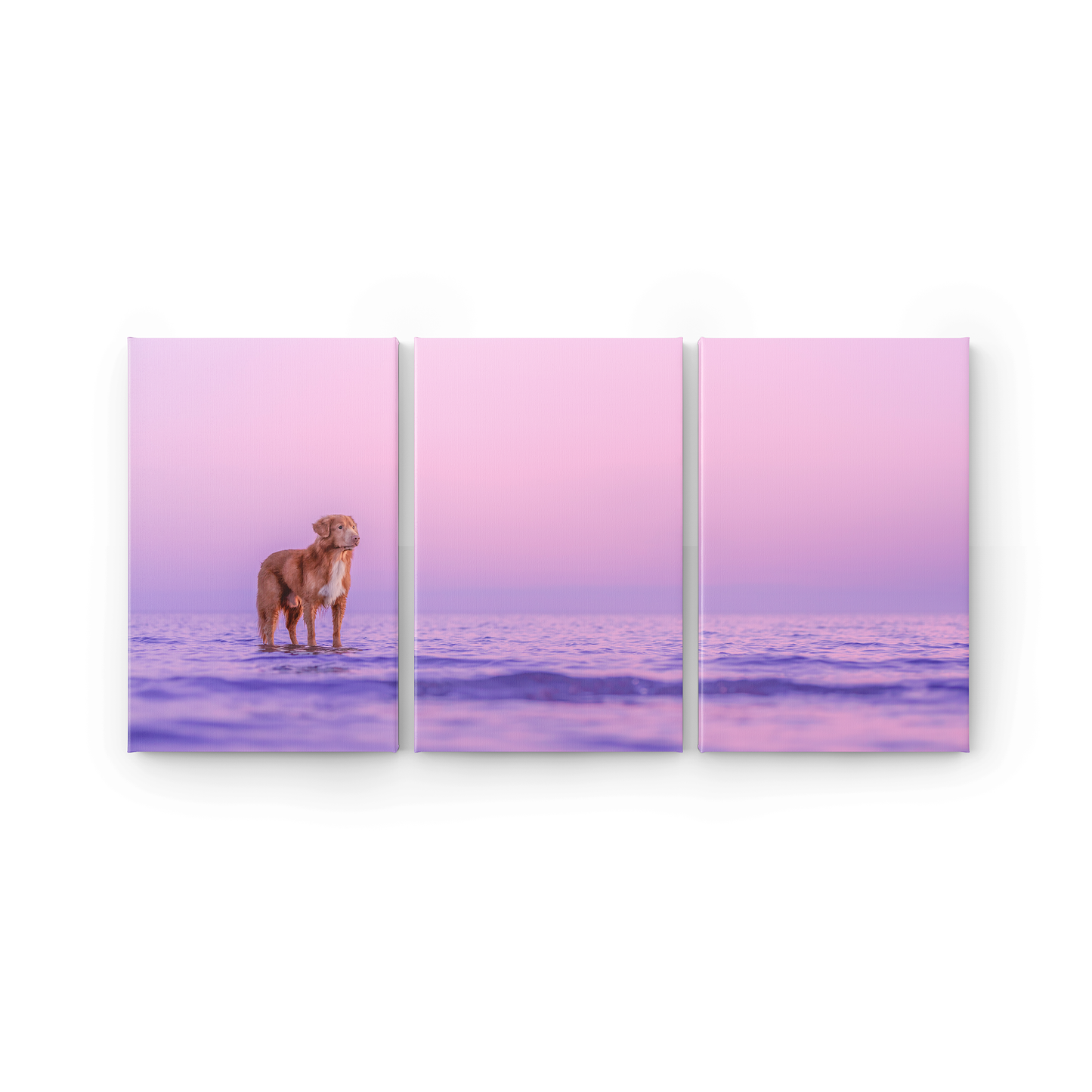 Canvas Triptyykki
