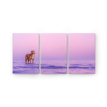 Canvas Triptyykki