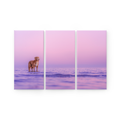 Canvas Triptyykki